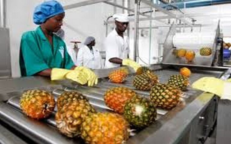 Togo : la transformation agroalimentaire stimule l’économie locale et régionale