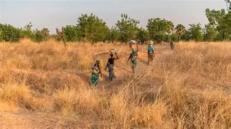Région des Savanes : l’ANIAC fait de la prévention chimique une priorité sécuritaire en 2026