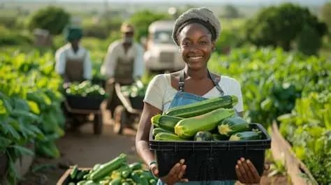 Sécurité alimentaire et emploi : le Togo optimise ses données agricoles