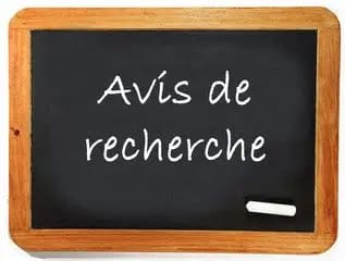 Enlèvements et disparitions inquiétantes : plus de 80 % des cas résolus après enquête de la commission spéciale