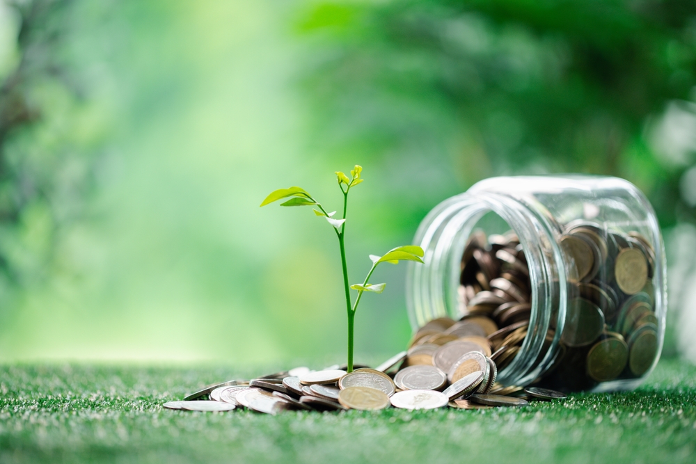Financement environnemental : 190,7 millions FCFA pour neuf initiatives locales au Togo