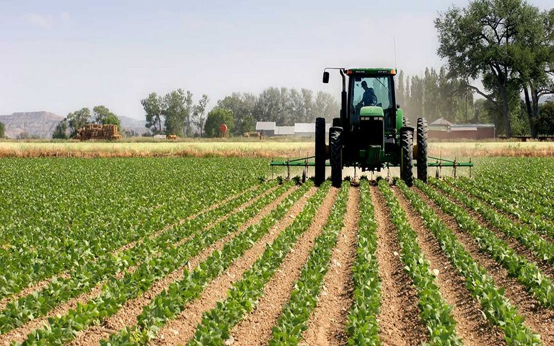 Agriculture : un fort soutien budgétaire avec +47 % d’investissements
