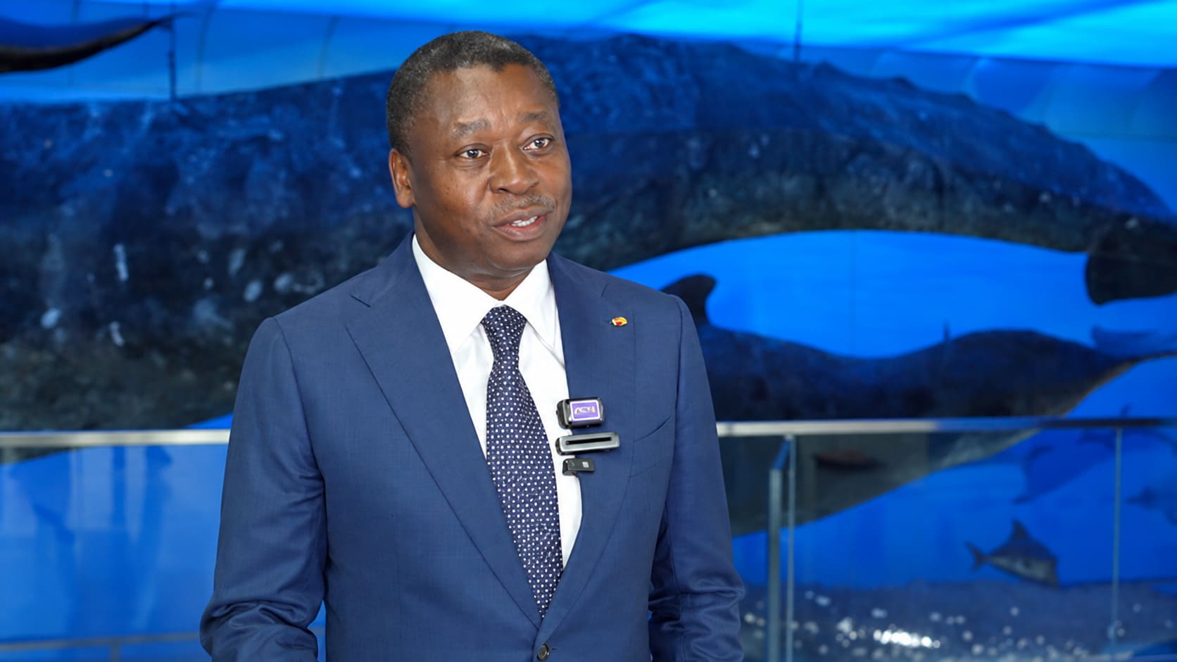 Chine : Faure Gnassingbé se prononce sur la candidature de Xiamen pour accueillir le secrétariat du traité sur la biodiversité marine (BBNJ)