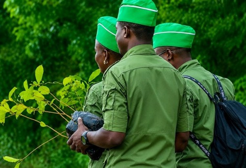 Surveillance des ressources naturelles : le Togo crée des brigades mobiles environnementales et forestières
